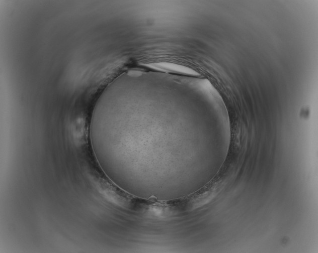 X0000094450420200711151432