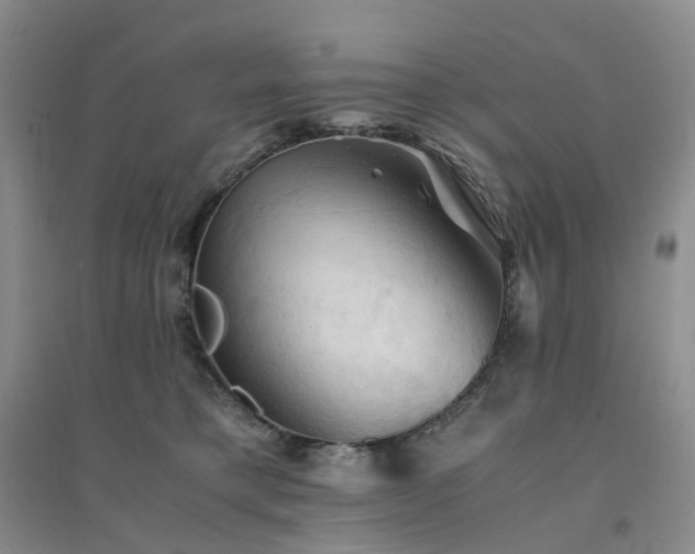 X0000094450421200711151432