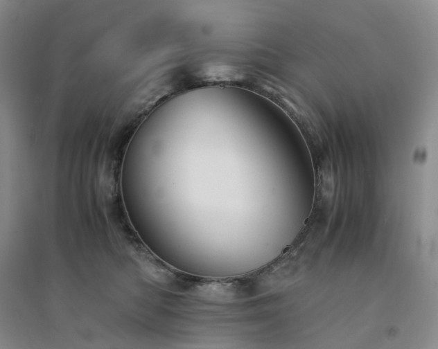 X0000094450422200711151432