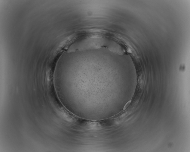 X0000094450424200711151432