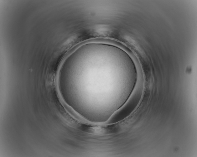 X0000094450425200711151432