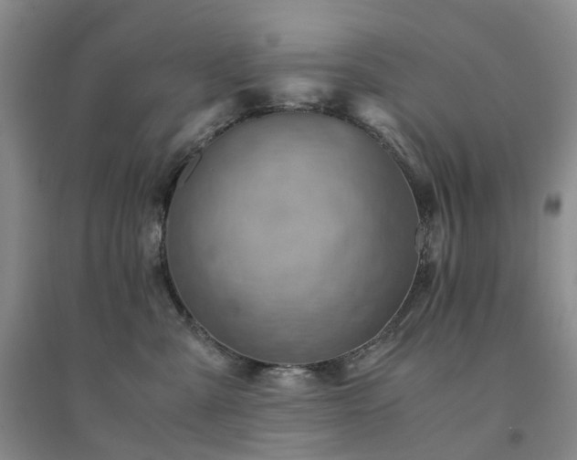 X0000094450427200711151432