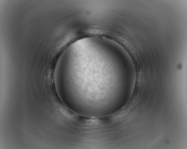 X0000094450428200711151432