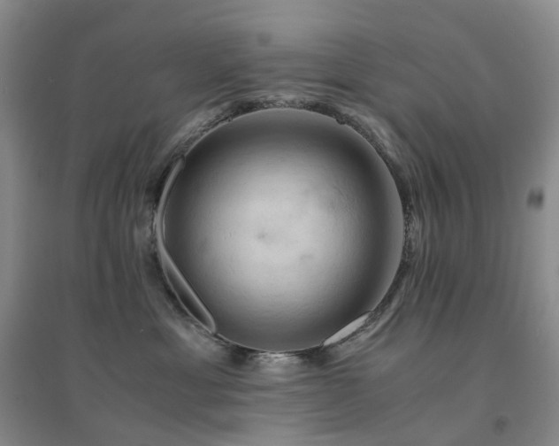 X0000094450429200711151432