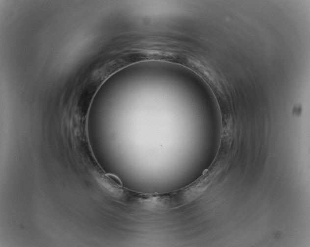 X0000094450430200711151431