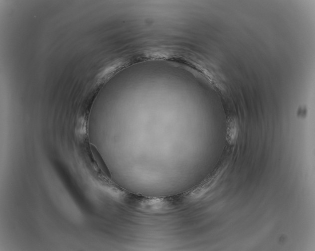 X0000094450431200711151431