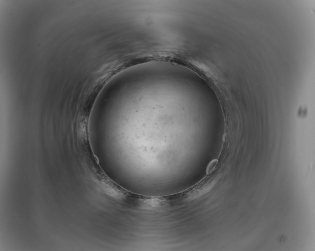 X0000094450432200711151431