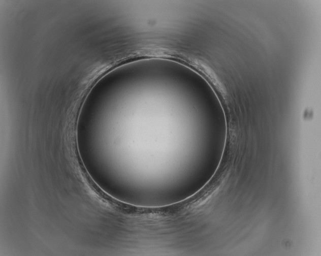 X0000094450433200711151431