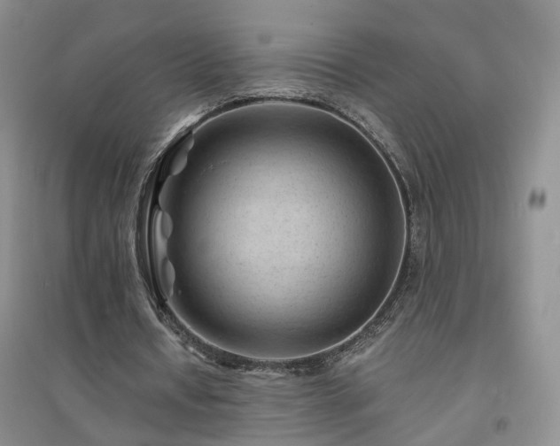 X0000094450434200711151431