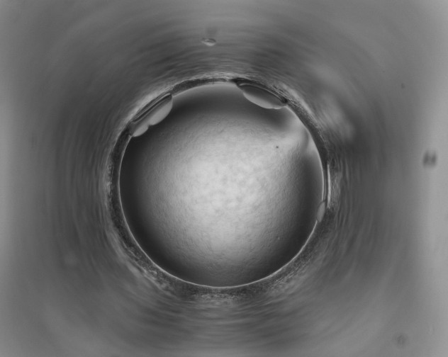 X0000094450435200711151431