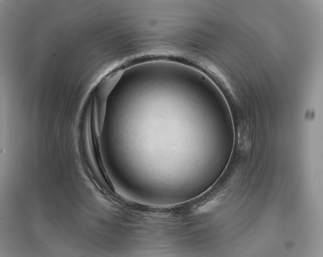 X0000094450436200711151431