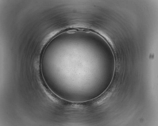 X0000094450437200711151431