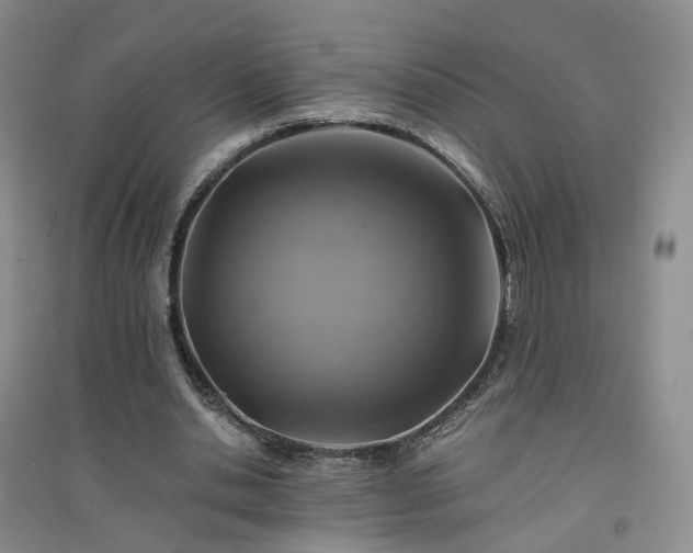 X0000094450438200711151431
