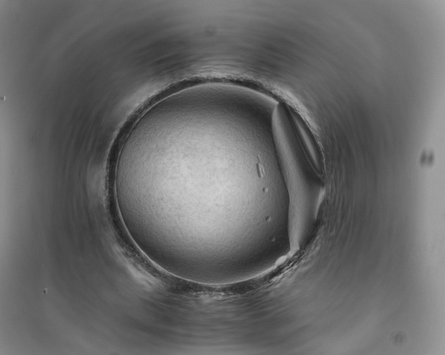 X0000094450439200711151431