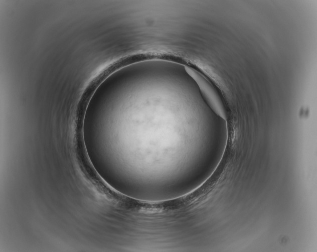 X0000094450440200711151431