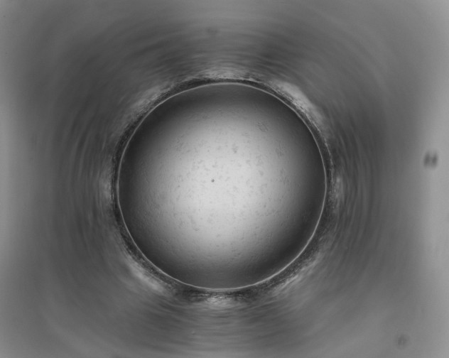 X0000094450441200711151431