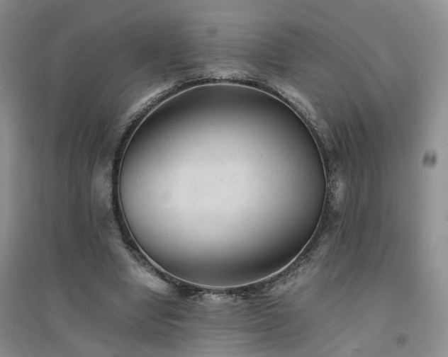 X0000094450442200711151431