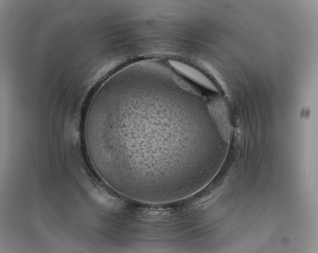 X0000094450443200711151431