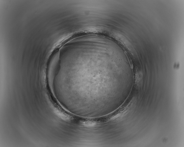 X0000094450444200711151431