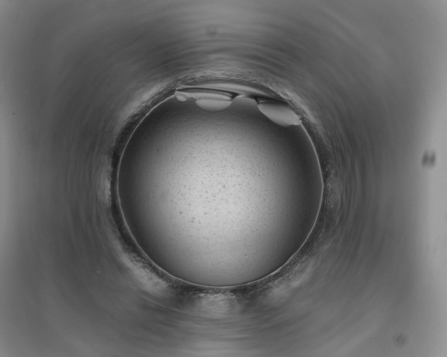 X0000094450446200711151431