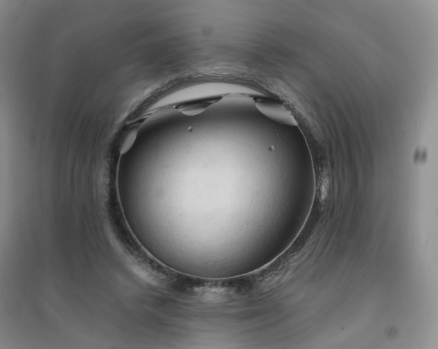 X0000094450448200711151431