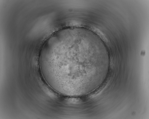 X0000094450449200711151431