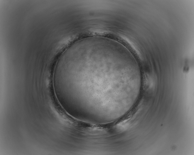 X0000094450451200711151431