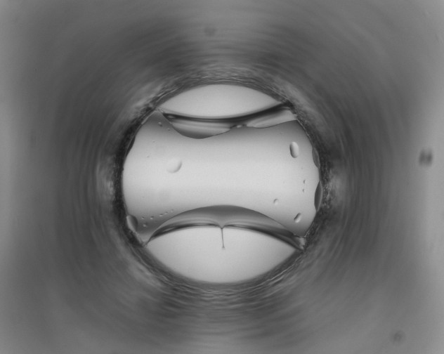 X0000094450452200711151431