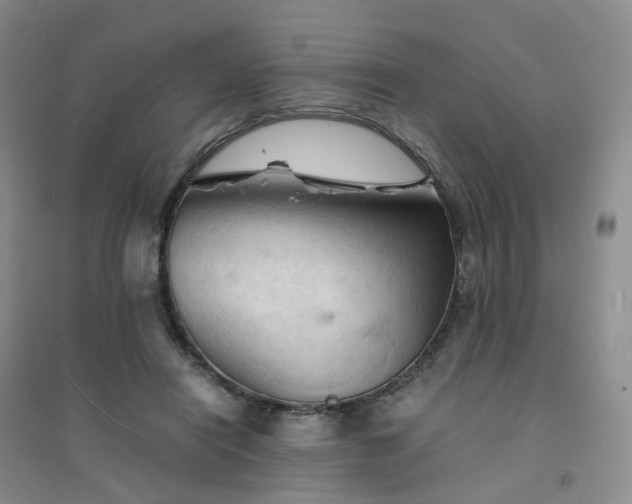 X0000094450454200711151431
