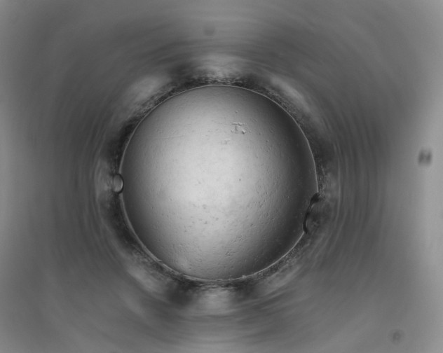 X0000094450456200711151431