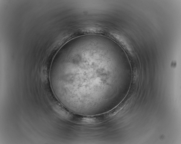 X0000094450457200711151431