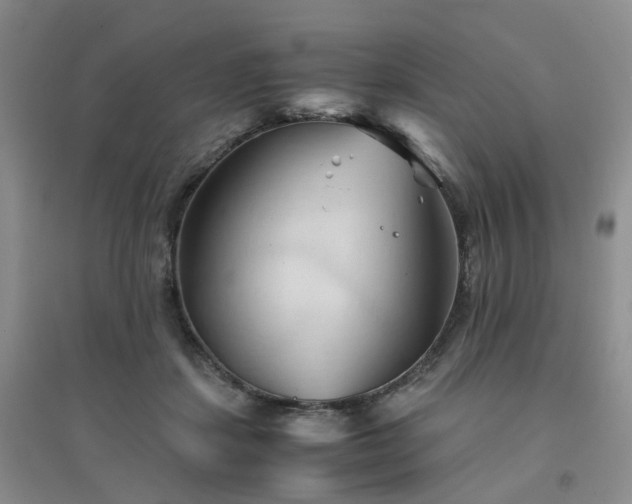 X0000094450459200711151431