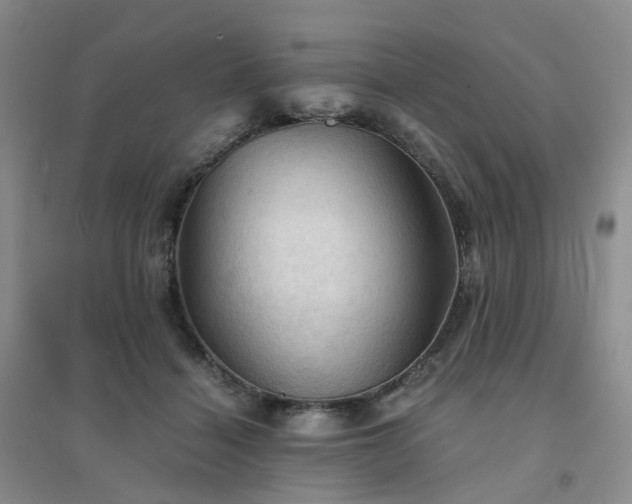 X0000094450460200711151431