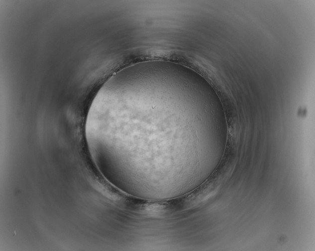 X0000094450462200711151431