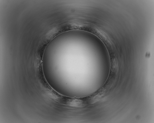 X0000094450463200711151431