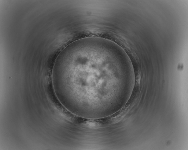 X0000094450464200711151431