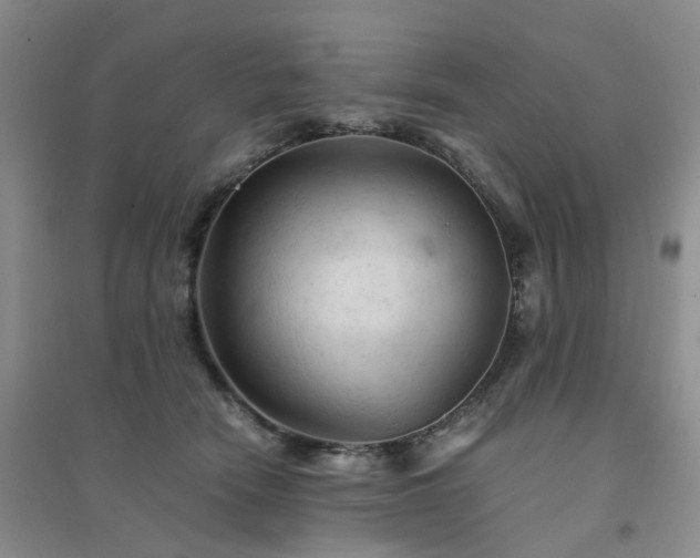 X0000094450466200711151431
