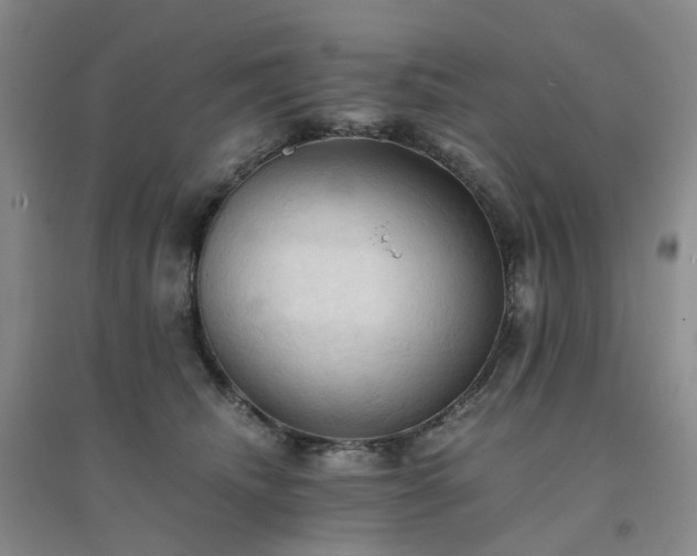 X0000094450468200711151431