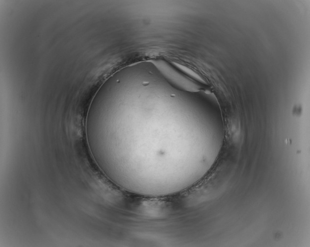 X0000094450470200711151431