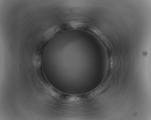 X0000094450471200711151431