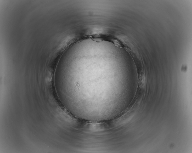 X0000094450472200711151431