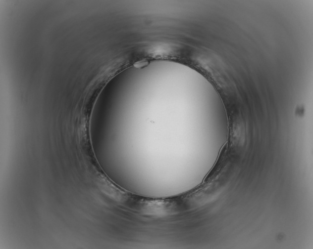 X0000094450473200711151431