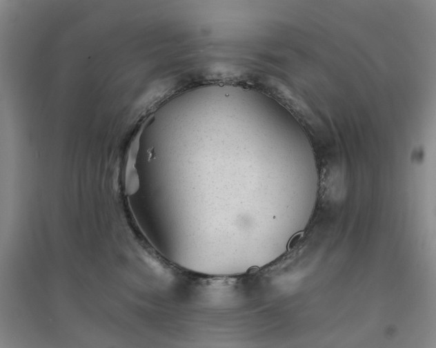 X0000094450474200711151431