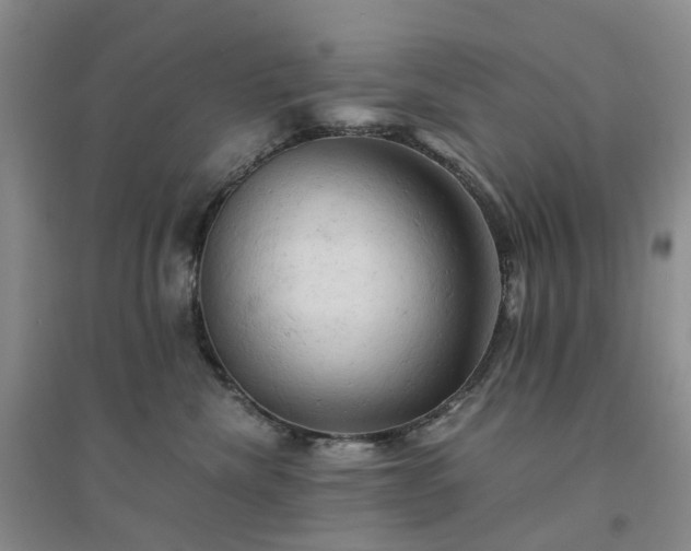 X0000094450476200711151431