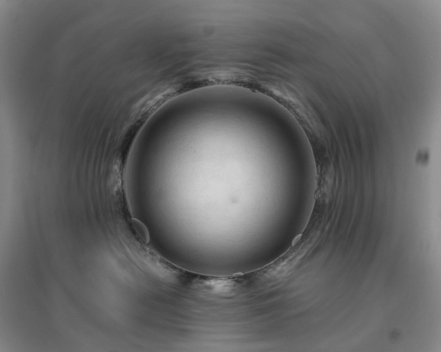 X0000094450478200711151431