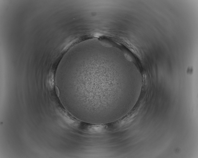 X0000094450479200711151431