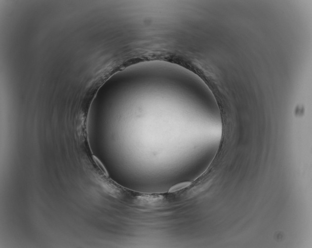 X0000094450480200711151431