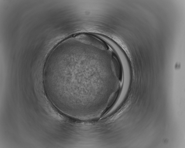 X0000094450481200711151431