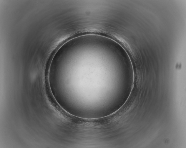 X0000094450482200711151431
