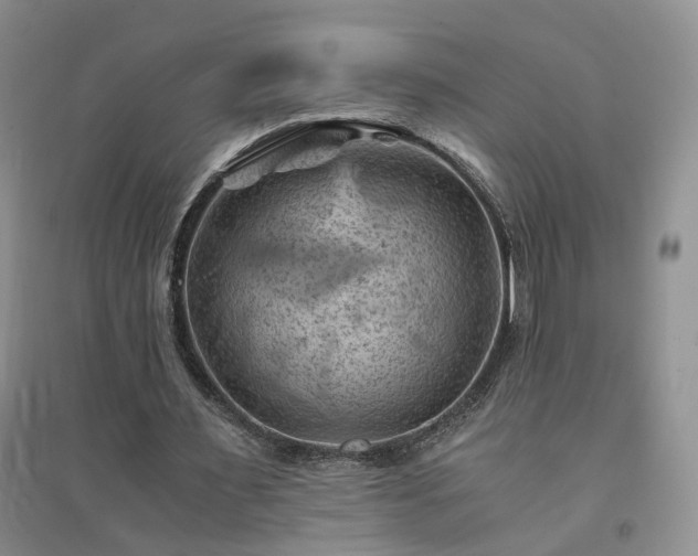 X0000094450483200711151431